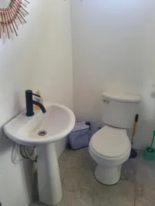 Jungle house - Tapantí