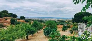 El Encanto - 巴尔韦尔德德尔卡米诺