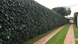 Alojamiento 1A Altillo - Los Laureles