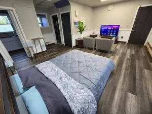 Urban Oasis - 罗基希尔