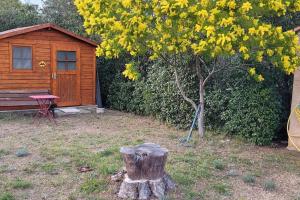Appartements Appartement dans une villa au coeur de la Provence : photos des chambres