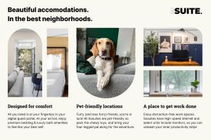 The Cherry Suites - Chinatown