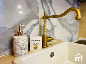 Paris Marais Saint Paul by Melvane