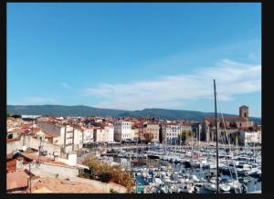 Appartements Honey Moon - studio romantique Jacuzzi et ecran cinema : photos des chambres