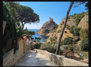 Appartements Honey Moon - studio romantique Jacuzzi et ecran cinema : photos des chambres