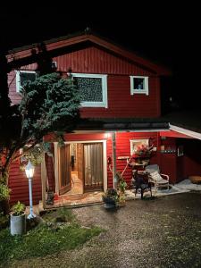 Line på Hauane1