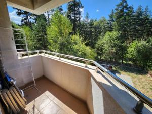 Pine tree Easy Ski access - Next 100m to Ski slope and forest view