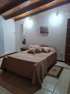 Habitacion pleno centro