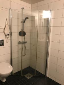 Ski VM i Trondheim 2025