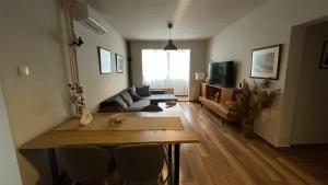 Specious Modern Apartment