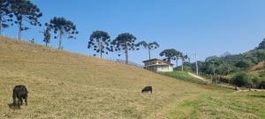 A Casa Verde de Cunha