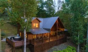 Bear Cove Cabin - 迪尔斯伯勒