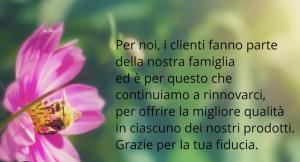 BallarHome - Casa Sbriju