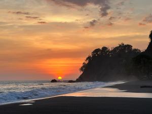 Tropical Camas Surf House