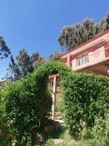 Kactus Lodge - Amantani - Amantani