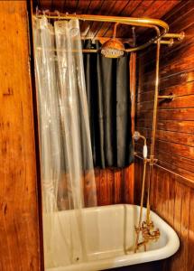 The Cabin - 2 Br 1 Ba Apt Near Downtown