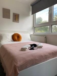 Charming Home on Abbey Road near Baker Street in Central London