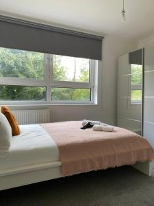 Charming Home on Abbey Road near Baker Street in Central London