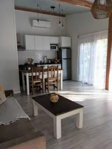 Hermosa Casa en El Ensueño Santa Ana Colonia - 新埃尔韦西亚