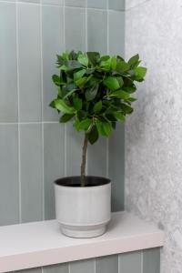 Coente Apartments Kiraly 51