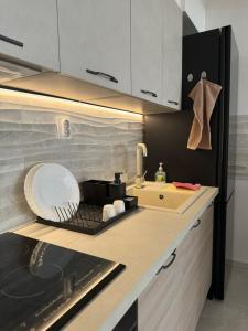 Cozy apartment-center of Skopje