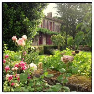 Gites La Grosse Talle : photos des chambres