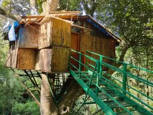 Tipperary Treehouse with Valley View - 科利希尔斯