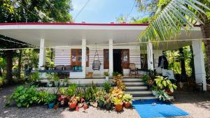 Green Island Homestay Riverside