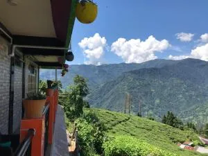 Surya Homestay - Rural Tea Garden Homestay - Phidim
