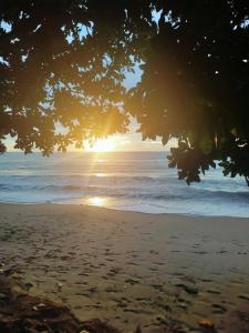 Condominium Lippo Carita Selatan - Lantai Dasar