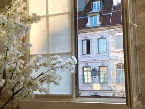 Les Fabuleux appartements du Coeur de ville - Place Victor Hugo : photos des chambres