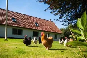 Oplev Bed&Breakfast - Aalborg