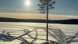 Zuid Lapland, Jämtland