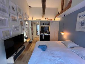 Appart'hotels Saint Jacques Disney : photos des chambres