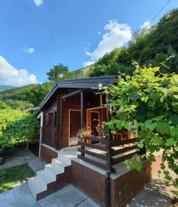 Šumski Miro - ميترفاتس