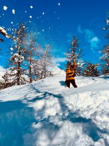 Chalets Chalet Les Ecrins : photos des chambres