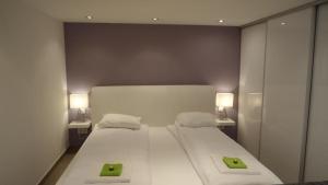 GOZSDU DREAM APT LUXURY 3 DOUBLE BED BUD CENTRe