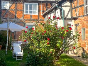 Fachwerk-Fischerhaus an Elbe und Aland