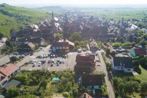 Appartements GEWURZTRAMINER - Studio au pied du vignoble - renove recemment - parking gratuit : Appartement 1 Chambre