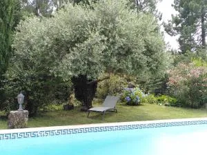 Brin d Ardèche - Ailhon