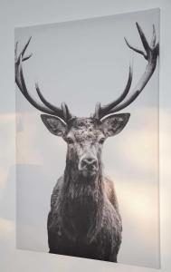 Ferienwohnung Kleine Fluchten