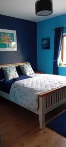 Lake view - Drumcong