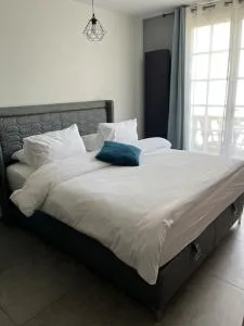 Appartement Élégant proche RER/ CDG / Parc des Expos - 塞夫朗