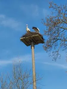 Ingrid`s Ferienwohnung - Dörpling