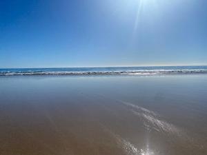 Light filled apartment near north one mile