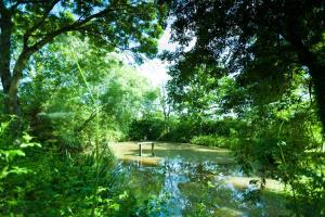 Maisons de vacances Ecologite La Riviere : photos des chambres