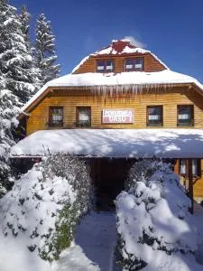 Pensiunea Ursu - Major