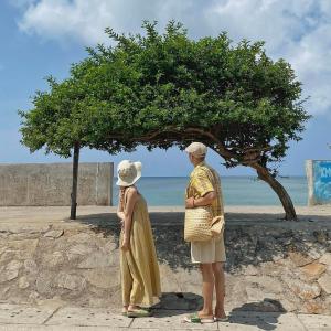 Chan Hotel Dao Phu Quy