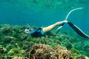 Chan Hotel Dao Phu Quy