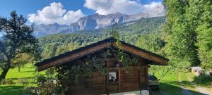 Cabane dans la vallée de Chamonix